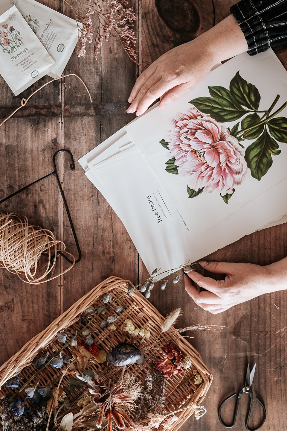 Hands arranging dried flowers and seed pods on a wooden table.