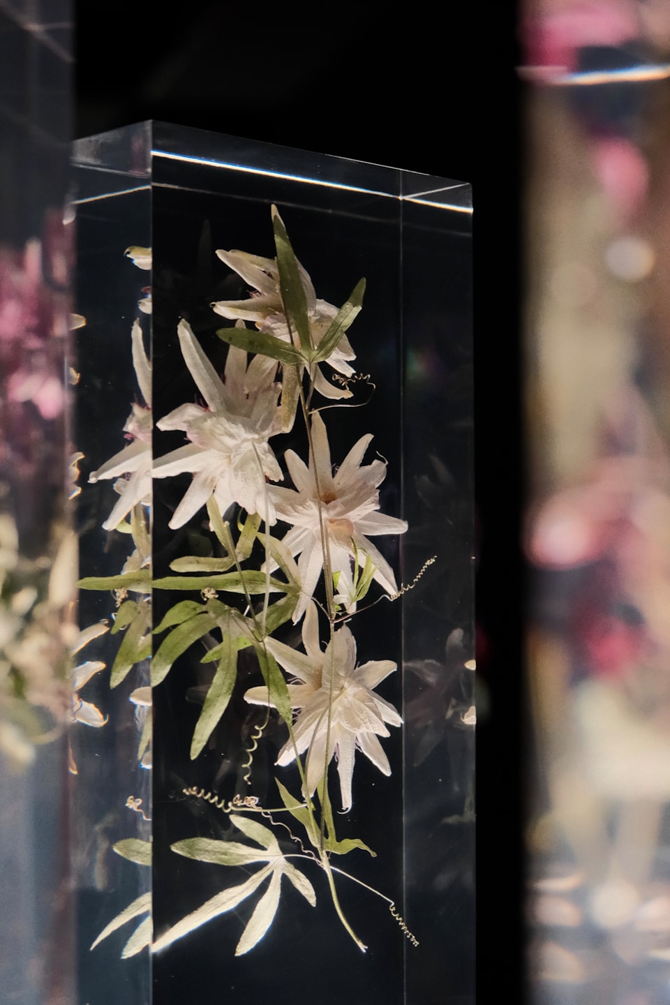 Dried flowers and leaves preserved inside a rectangular acrylic block.